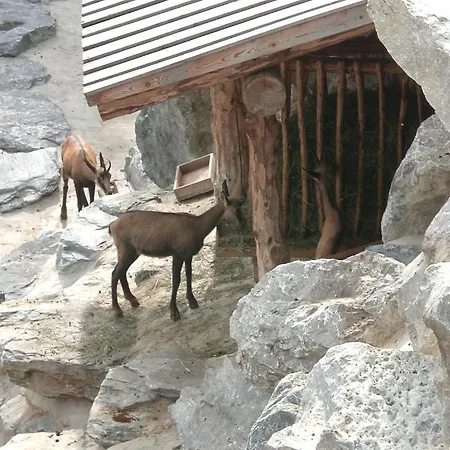 דירה Haus Olympia