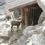 아파트 Haus Olympia