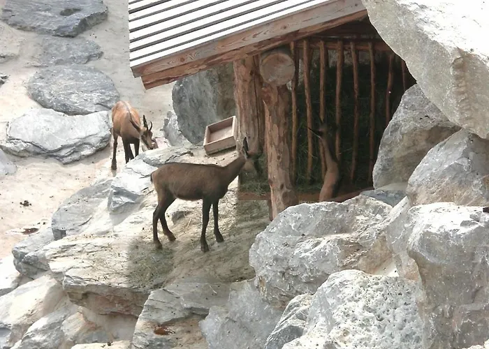 Διαμέρισμα Haus Olympia